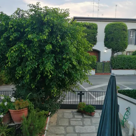 Marlene * Torre A Mare